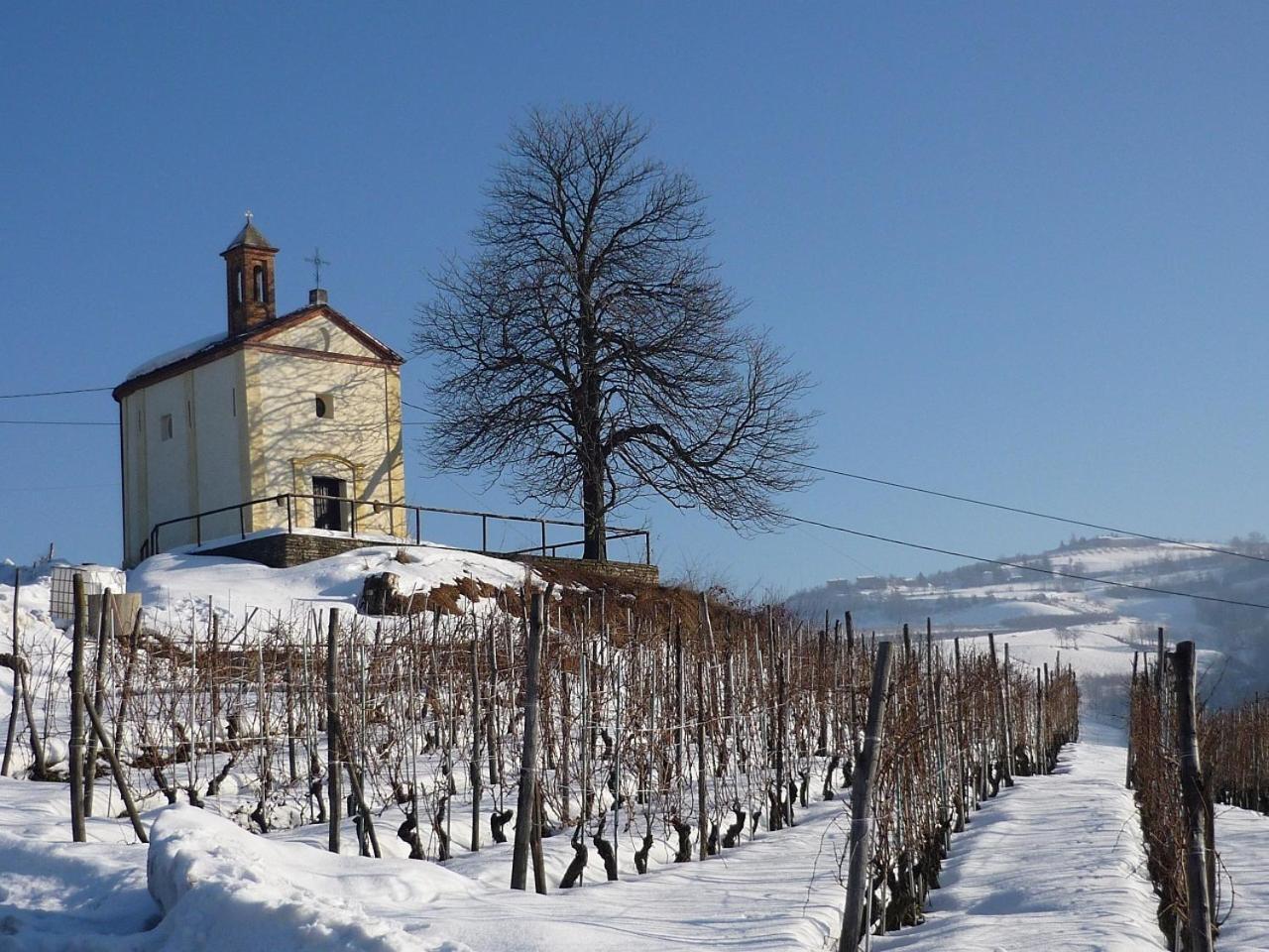 Vila Cascina Sant'Eufemia Sinio Exteriér fotografie