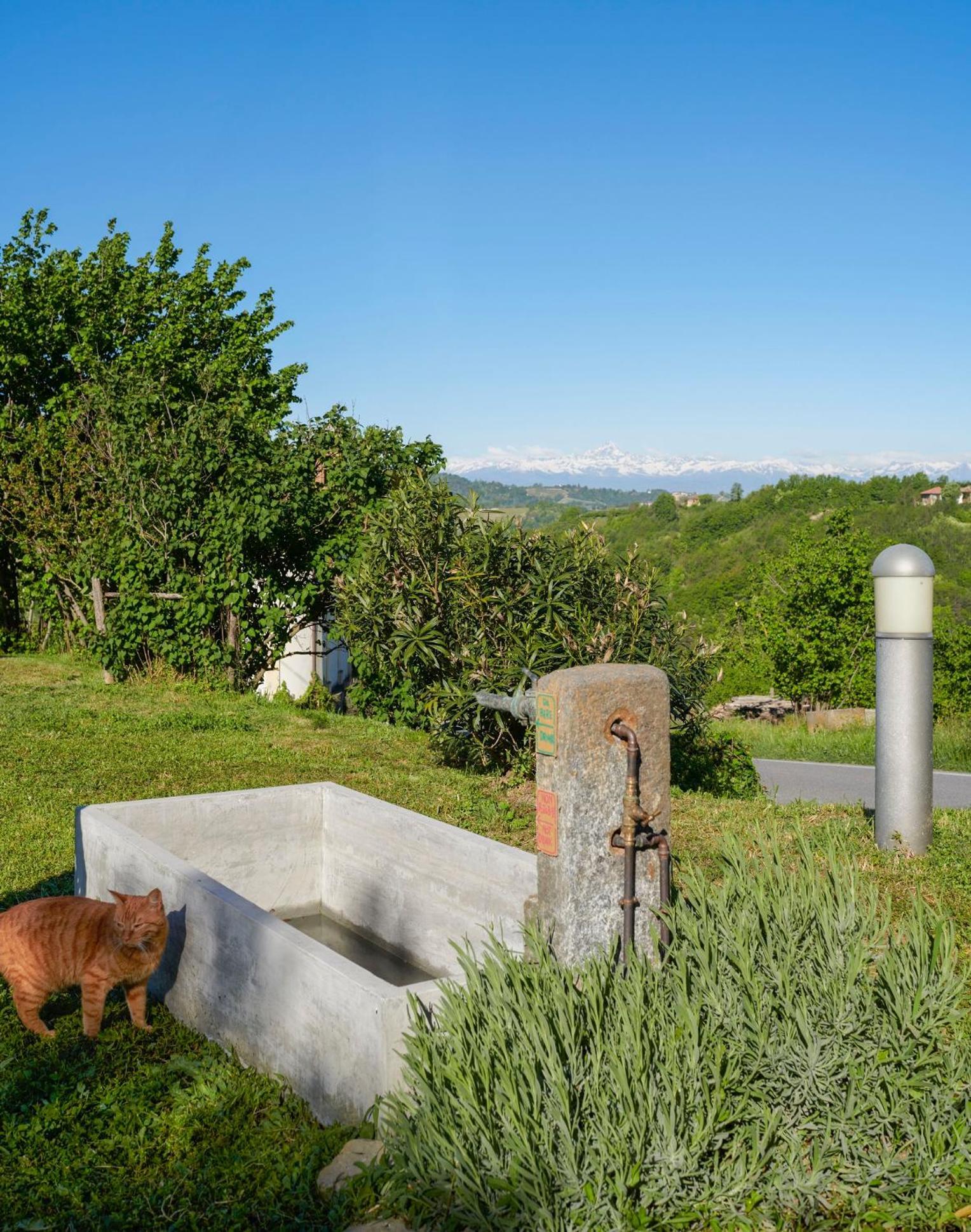 Vila Cascina Sant'Eufemia Sinio Exteriér fotografie