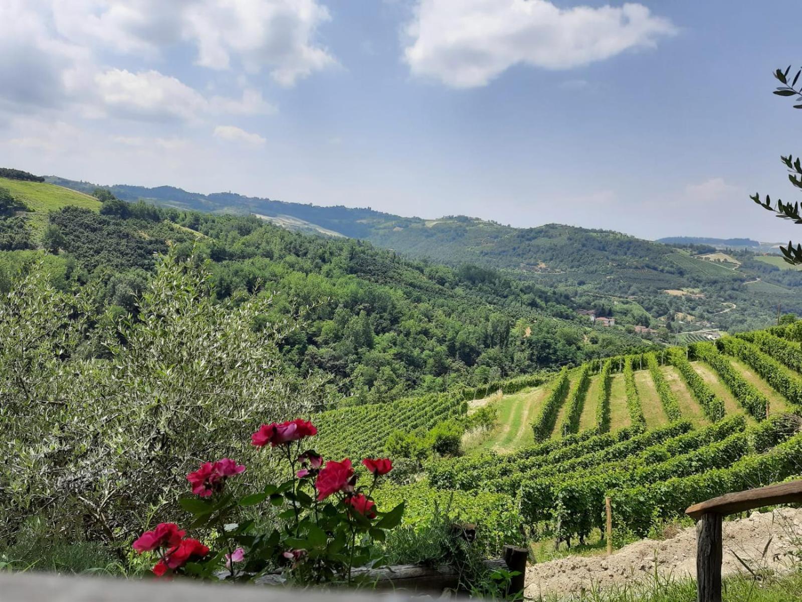 Vila Cascina Sant'Eufemia Sinio Exteriér fotografie