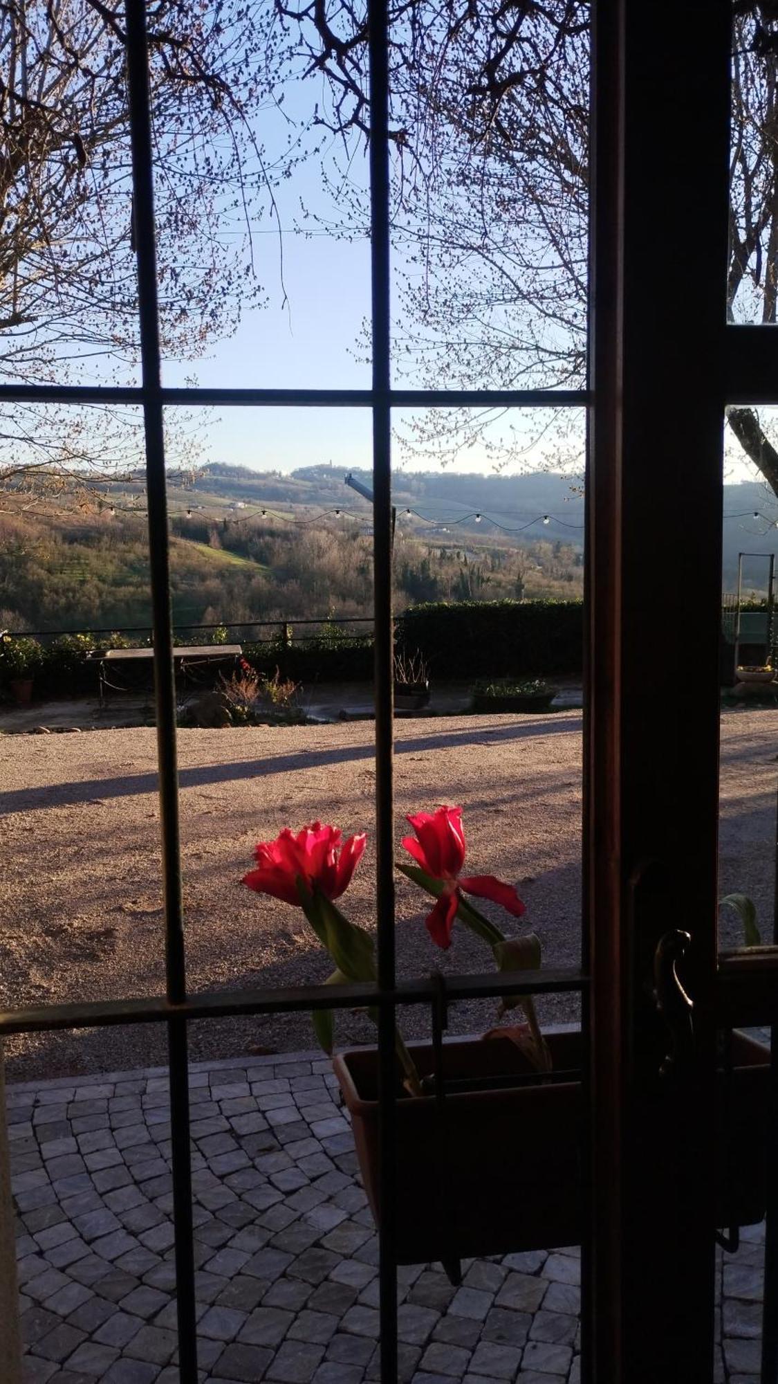 Vila Cascina Sant'Eufemia Sinio Exteriér fotografie